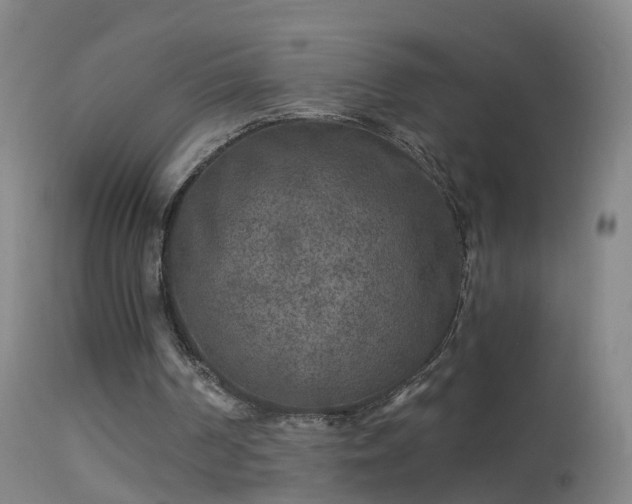 X0000114130194200910151553