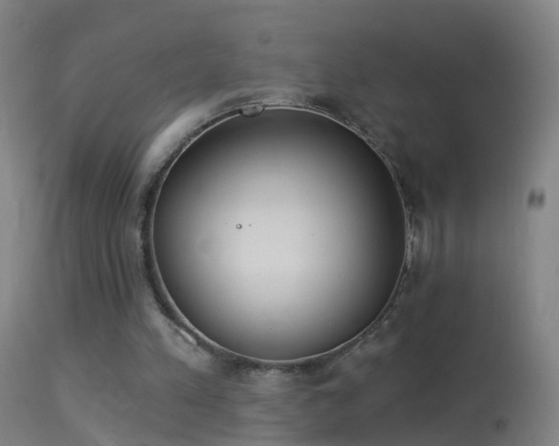 X0000114130197200910151553