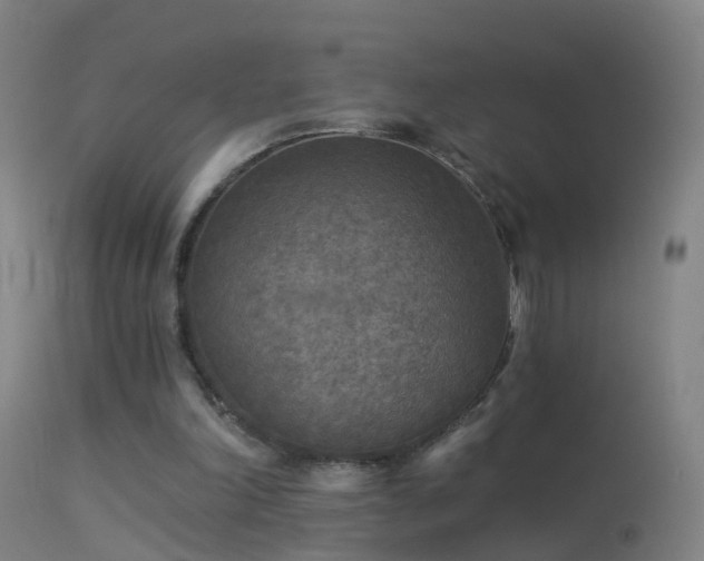 X0000114130198200910151553