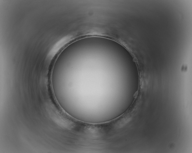 X0000114130199200910151553