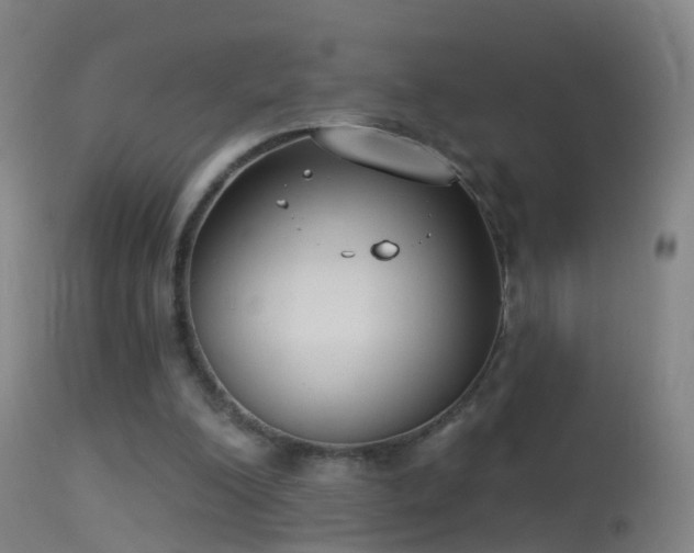 X0000114130200200910151553