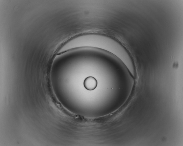 X0000114130201200910151553