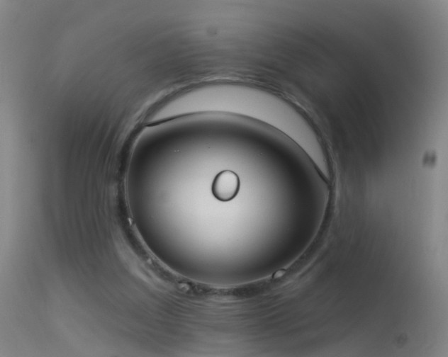 X0000114130203200910151553