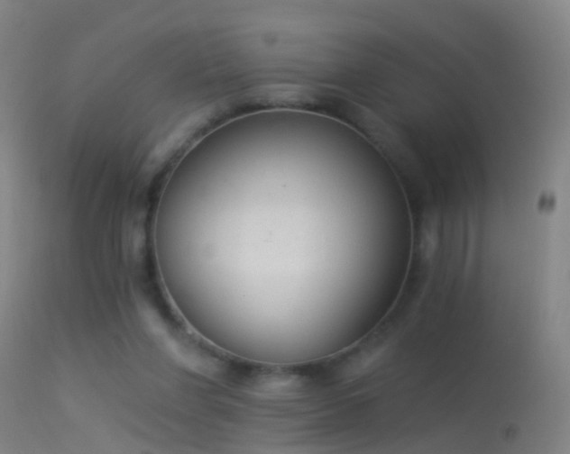 X0000114130206200910151553