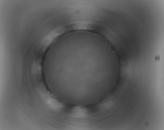 X0000114130207200910151553