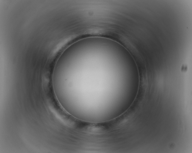 X0000114130208200910151553