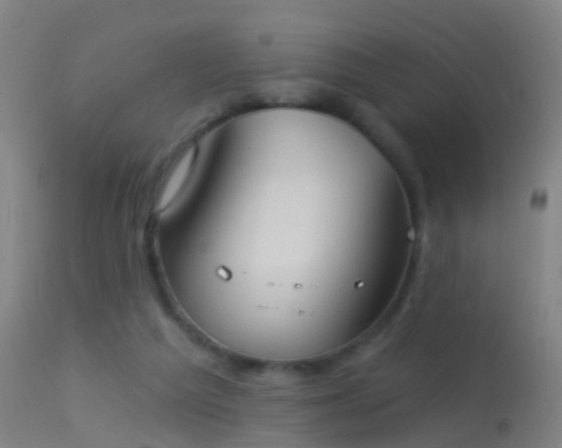 X0000114130209200910151553