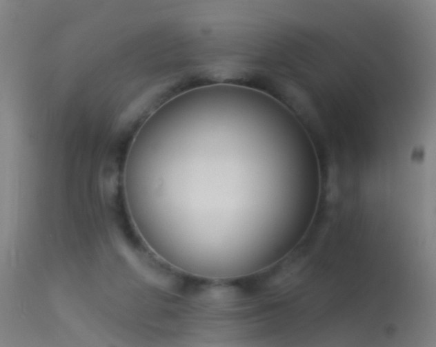 X0000114130210200910151553