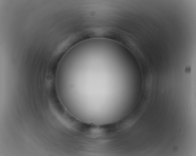 X0000114130216200910151553