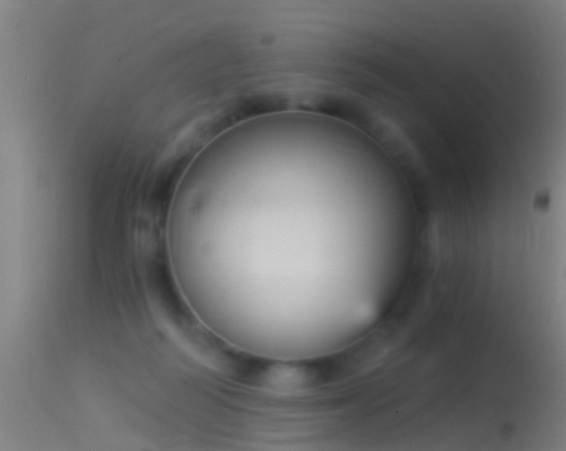 X0000114130218200910151553