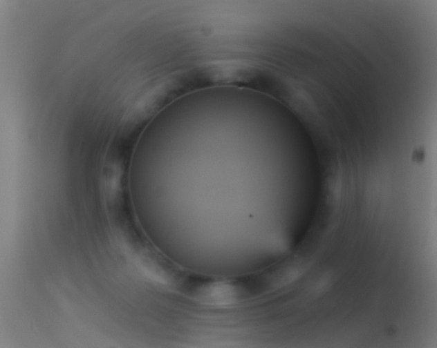 X0000114130219200910151553