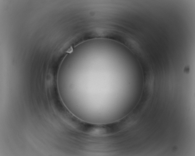 X0000114130220200910151553