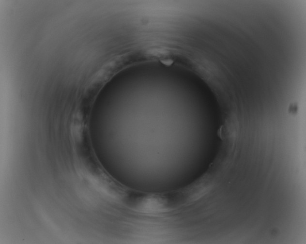 X0000114130223200910151553