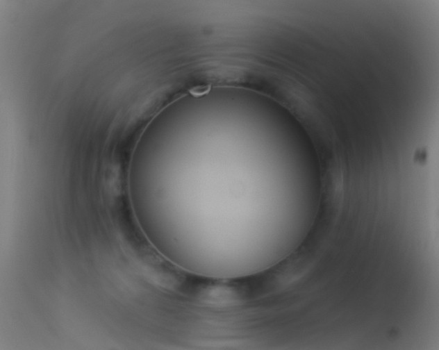 X0000114130224200910151553