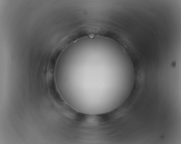 X0000114130226200910151552