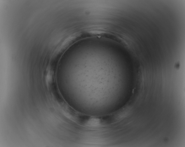 X0000114130227200910151552