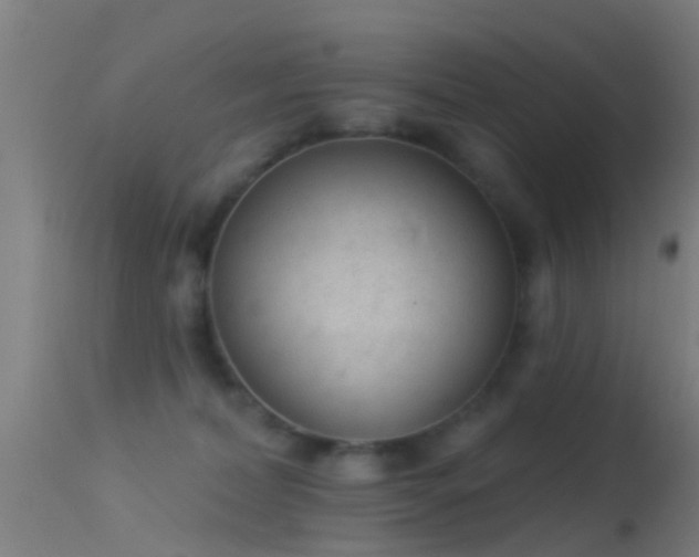 X0000114130228200910151552