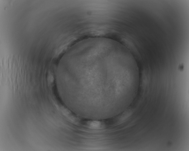 X0000114130230200910151552