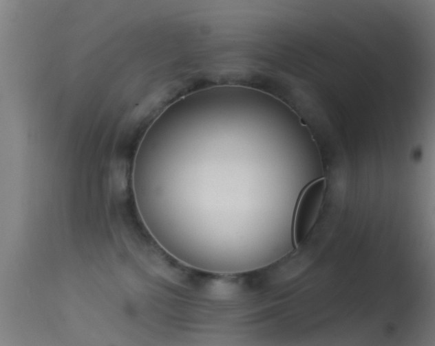 X0000114130232200910151552