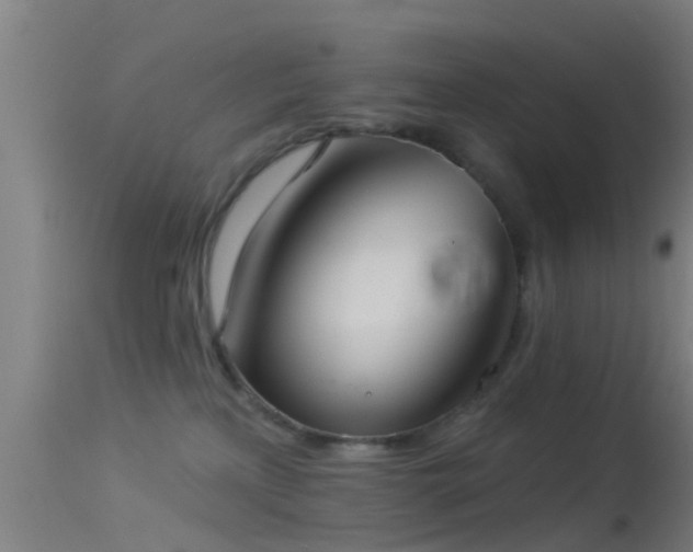 X0000114130233200910151552