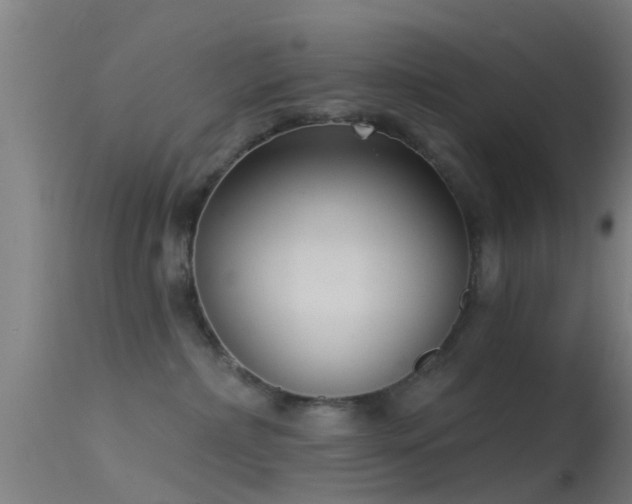 X0000114130236200910151552