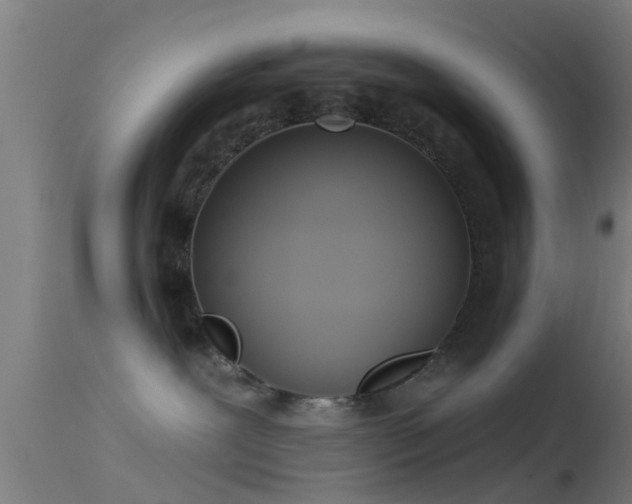 X0000114130239200910151552