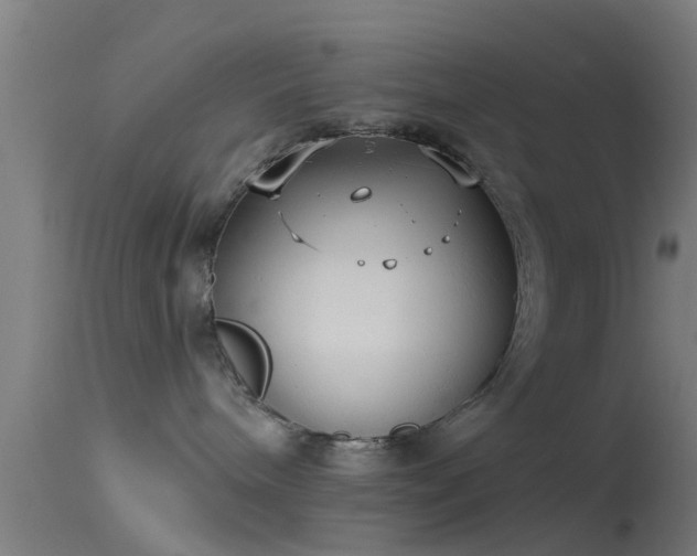 X0000114130240200910151552