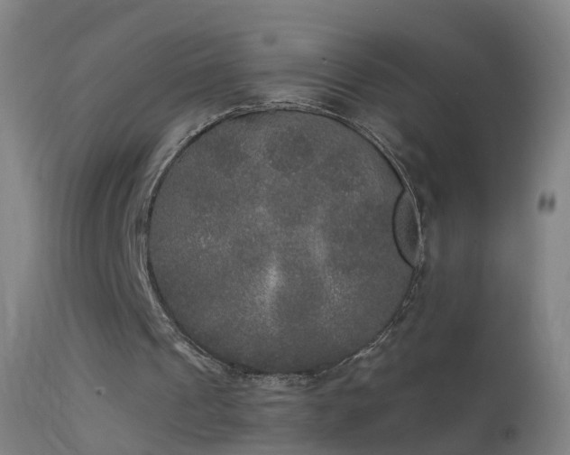 X0000114130241200910151552