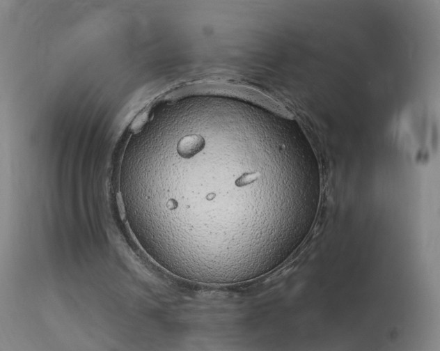 X0000114130242200910151552