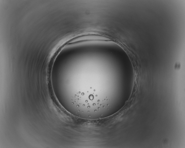 X0000114130244200910151552