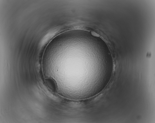 X0000114130245200910151552