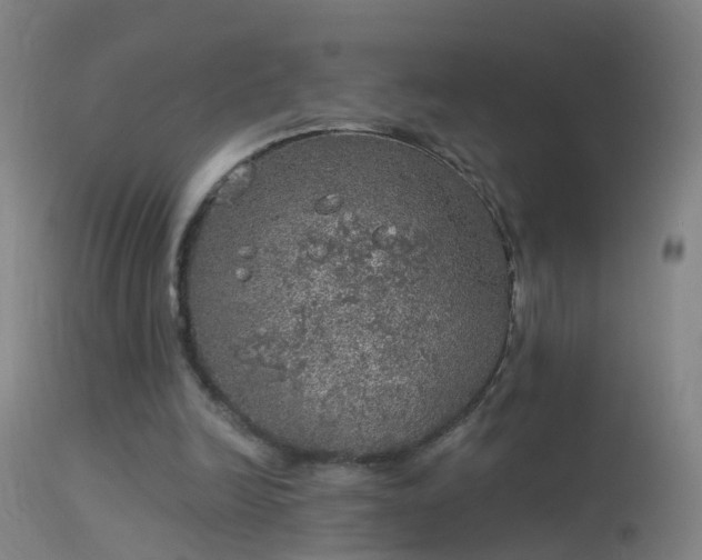 X0000114130246200910151552