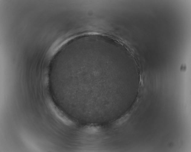 X0000114130247200910151552