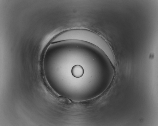 X0000114130248200910151552