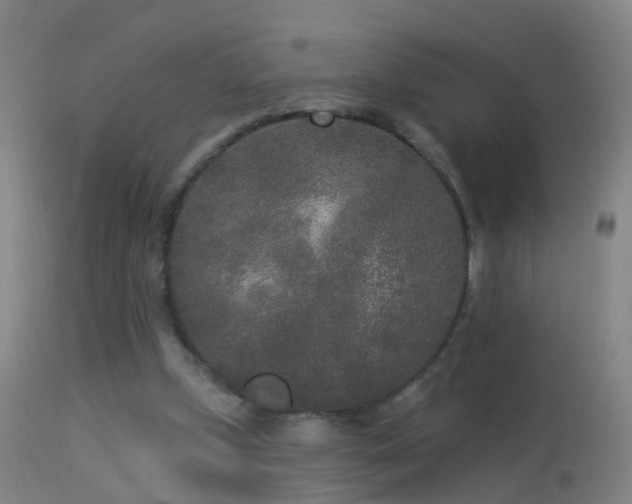 X0000114130249200910151552