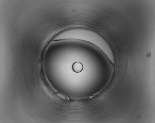 X0000114130252200910151552