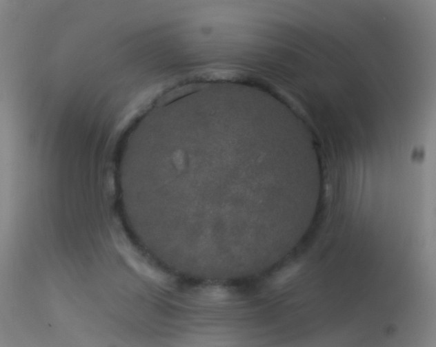 X0000114130254200910151552