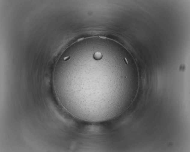 X0000114130255200910151552