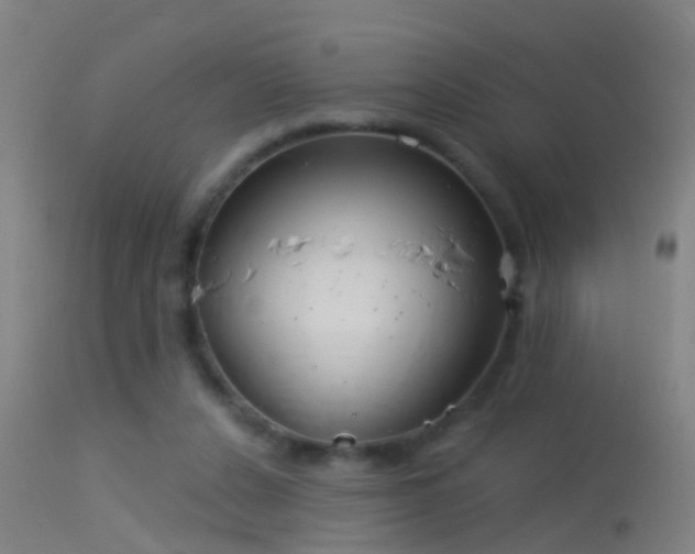 X0000114130256200910151552