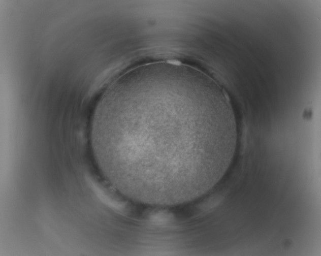 X0000114130258200910151552