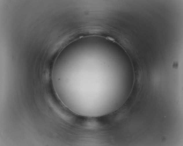 X0000114130262200910151552