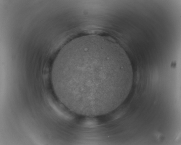 X0000114130263200910151552