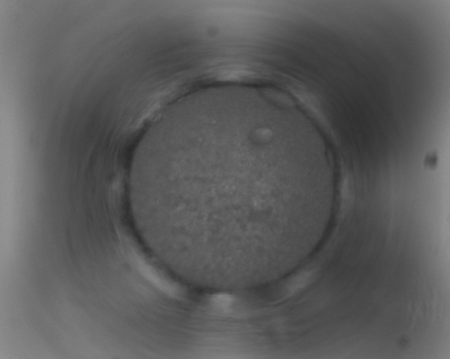 X0000114130265200910151552