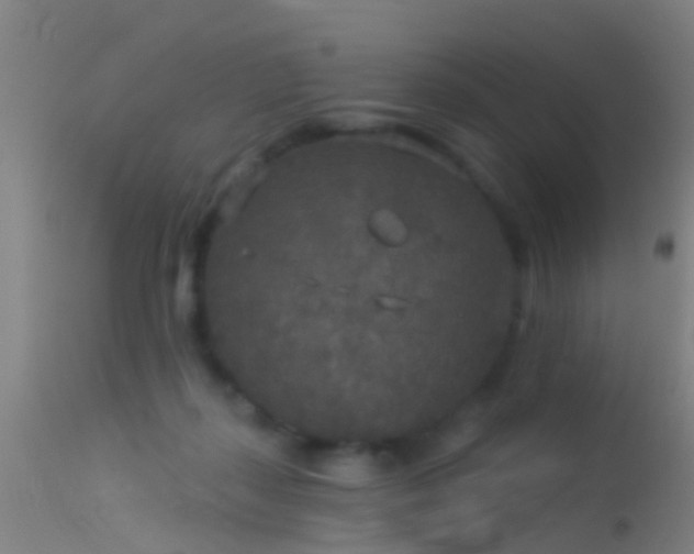 X0000114130267200910151552