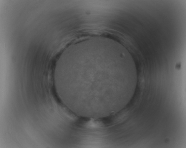 X0000114130270200910151552