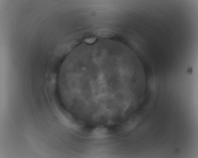 X0000114130271200910151552