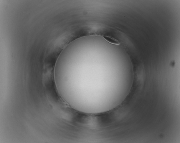 X0000114130276200910151552