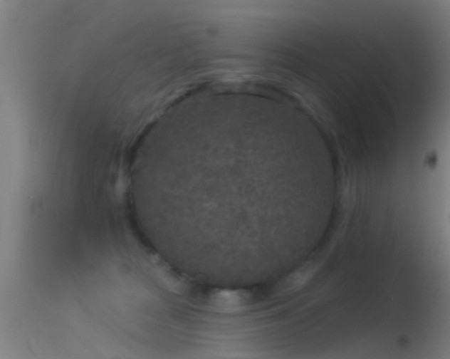 X0000114130277200910151552