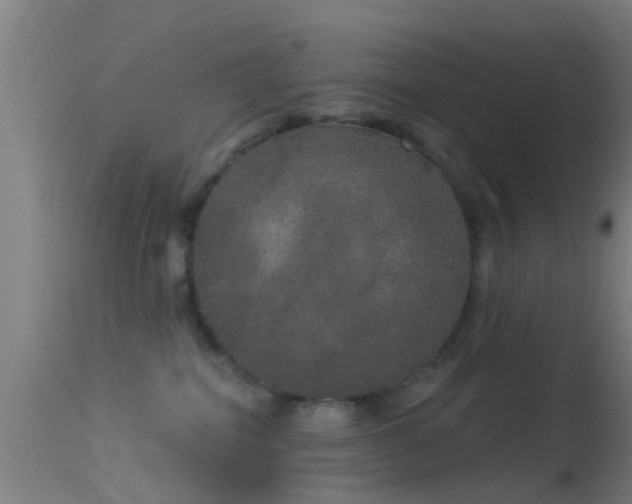 X0000114130282200910151552