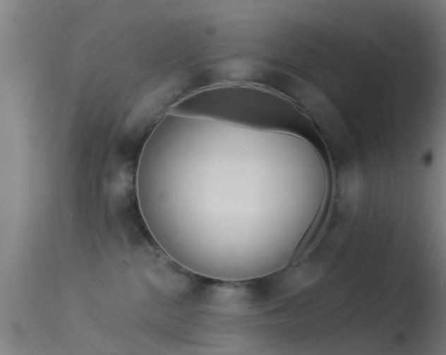 X0000114130284200910151552